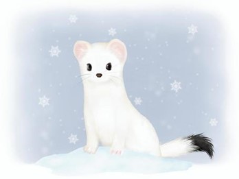 北海道で暮らす”森の妖精”？ - HIE OFFICIAL BLOG